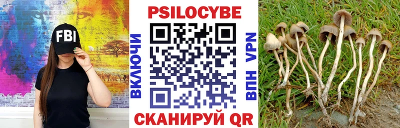 Псилоцибиновые грибы Psilocybe  сколько стоит  Кореновск 